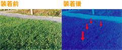装着前・装着後