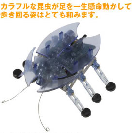 カラフルな昆虫が足を一生懸命動かして歩き回る姿はとても和みます。