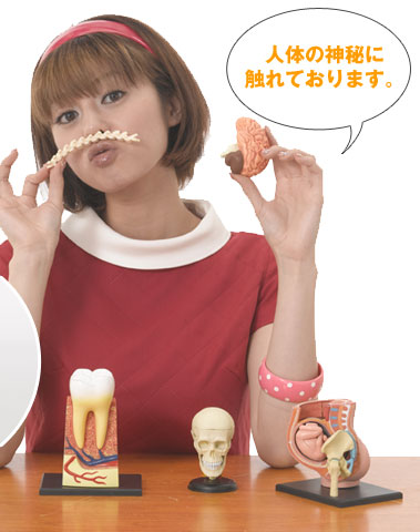 人体の神秘に触れております。