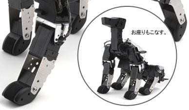 お座りもこなす。