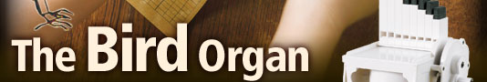 The Bird Organ