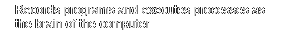 "Records programs and executes processes as the brain of the computer