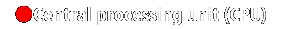 Central processing unit (CPU)