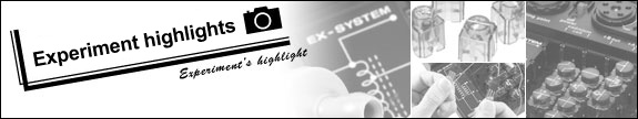 Experiment highlights