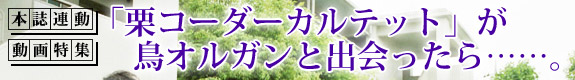 「栗コーダーカルテット」が鳥オルガンと出会ったら……。