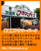 茨城県フラワーパーク　山々と緑に囲まれたゆるやかな丘の上にあるフラワーパーク。四季折々の花と緑が楽しめます。