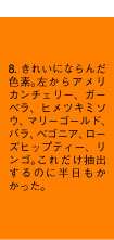 8. きれいにならんだ色素。左からアメリカンチェリー、ガーベラ、ヒメツキミソウ、マリーゴールド、バラ、ベゴニア、ローズヒップティー、リンゴ。これだけ抽出するのに半日もかかった。