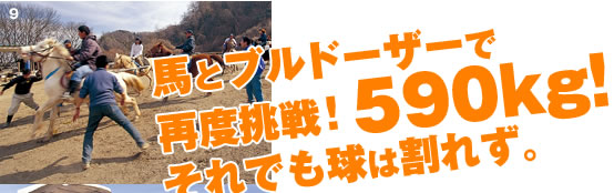 馬とブルドーザーで再度挑戦！590kg!それでも球は割れず。