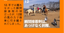 12. 手では離れなかった瞬間接着剤の球だったが、12頭の馬の力で簡単に引き離されてしまった。