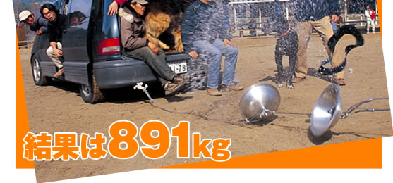 結果は891kg