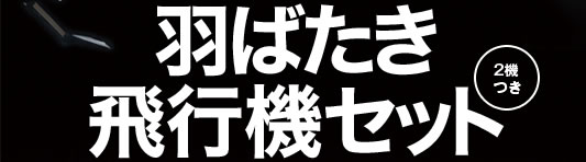 羽ばたき飛行機セット（2機つき）